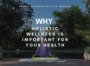 Why Is Holistic Wellness Important for Your Health?